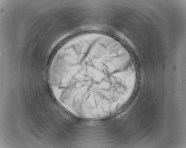 X0000082731166200702232339