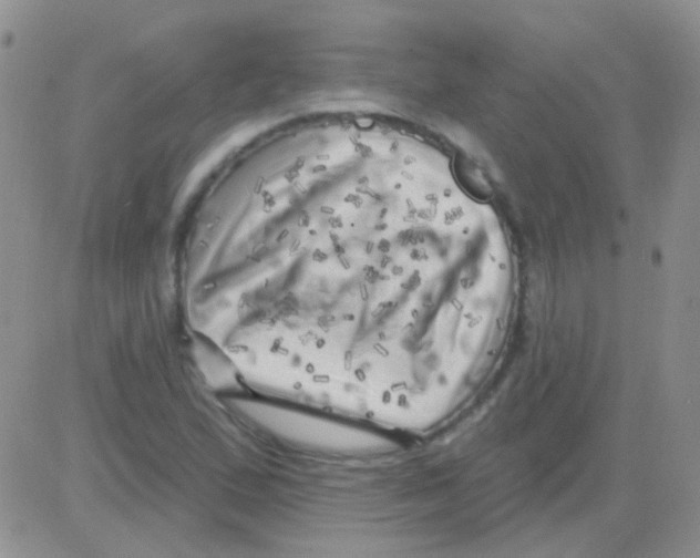 X0000082731167200702232339