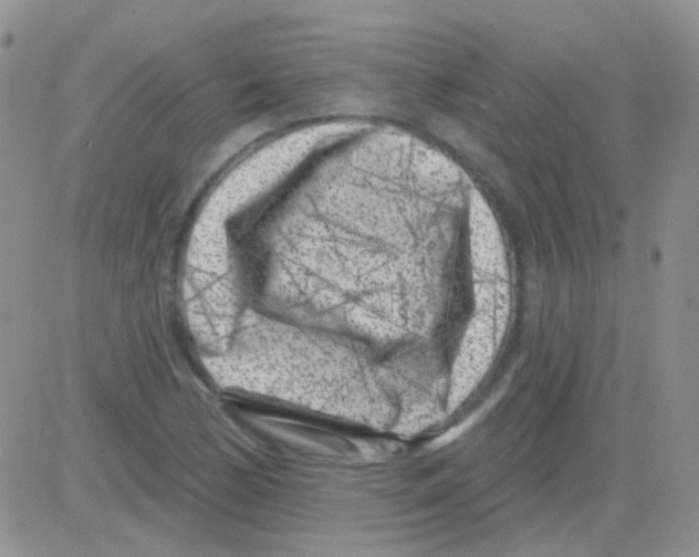 X0000082731170200702232339