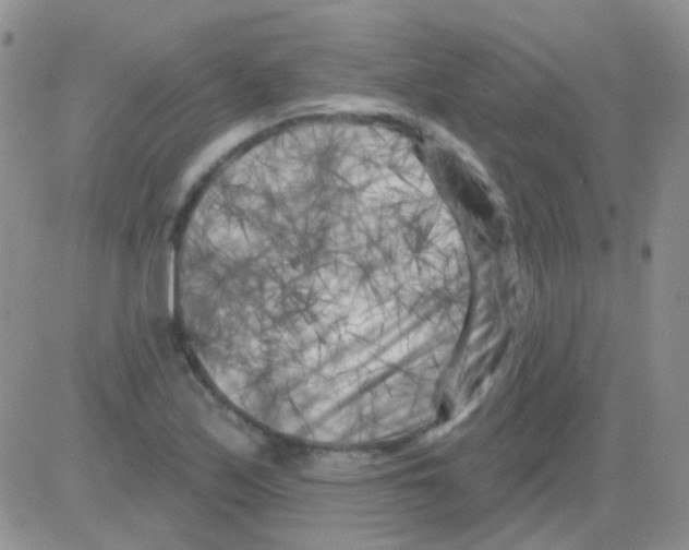 X0000082731171200702232339