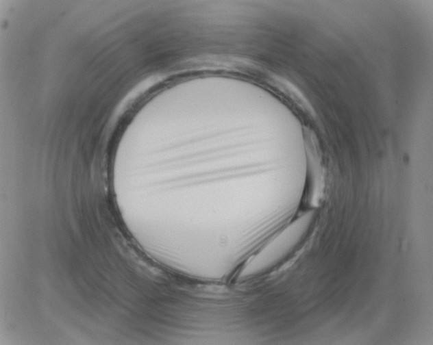 X0000082731172200702232339