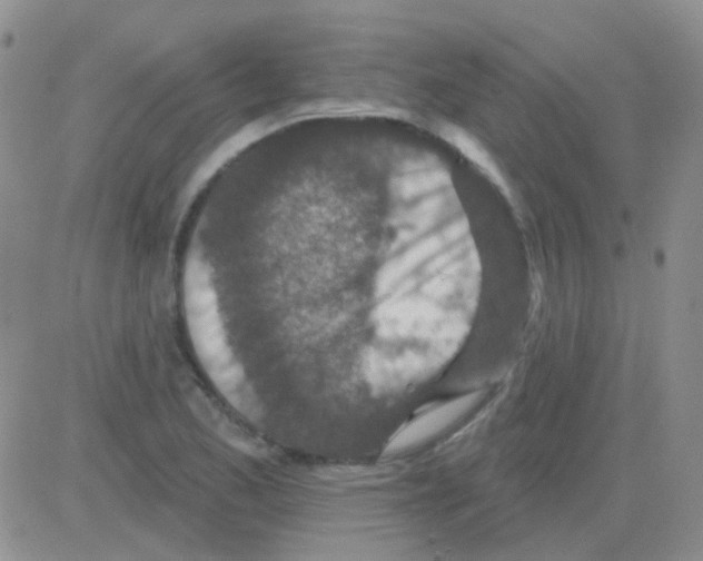 X0000082731173200702232339