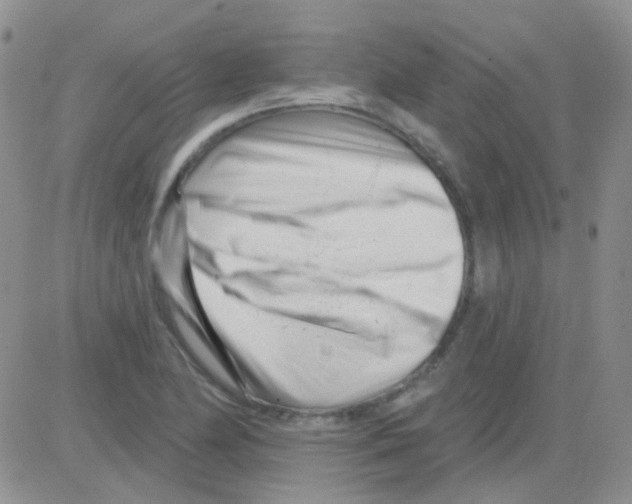 X0000082731174200702232339