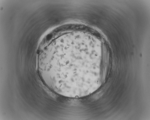 X0000082731175200702232339