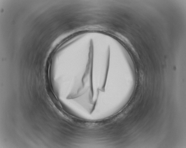 X0000082731176200702232339