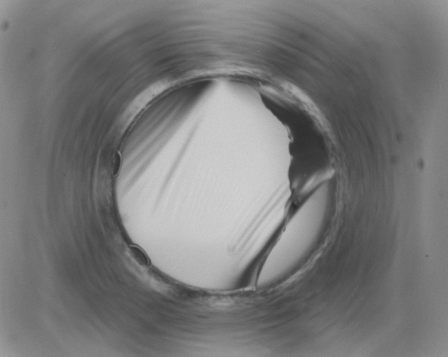 X0000082731177200702232339