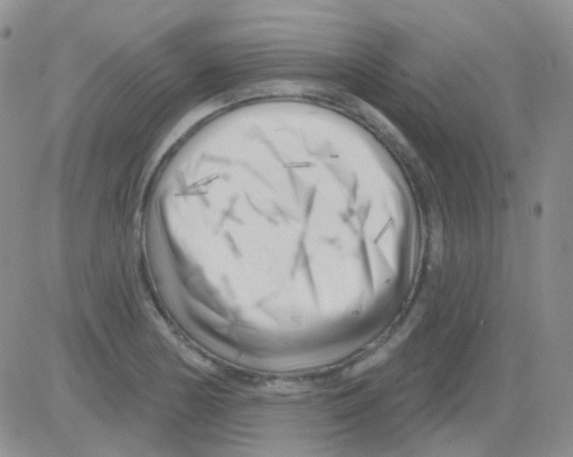 X0000082731178200702232339