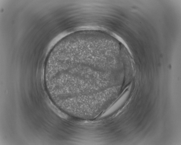 X0000082731179200702232339