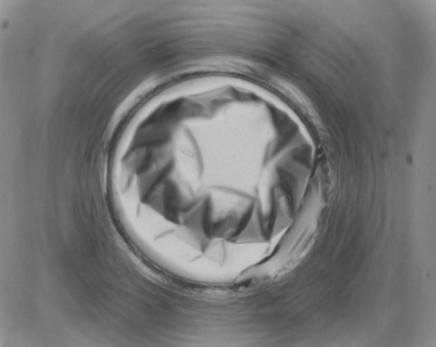 X0000082731180200702232339