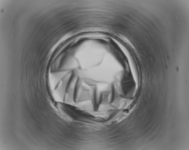 X0000082731181200702232339