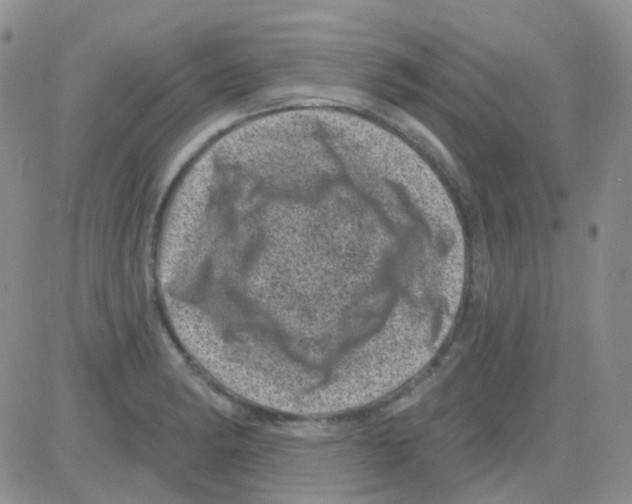 X0000082731182200702232339