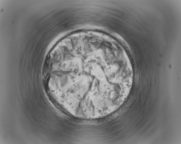 X0000082731183200702232339