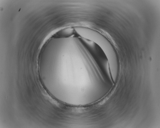 X0000082731184200702232339