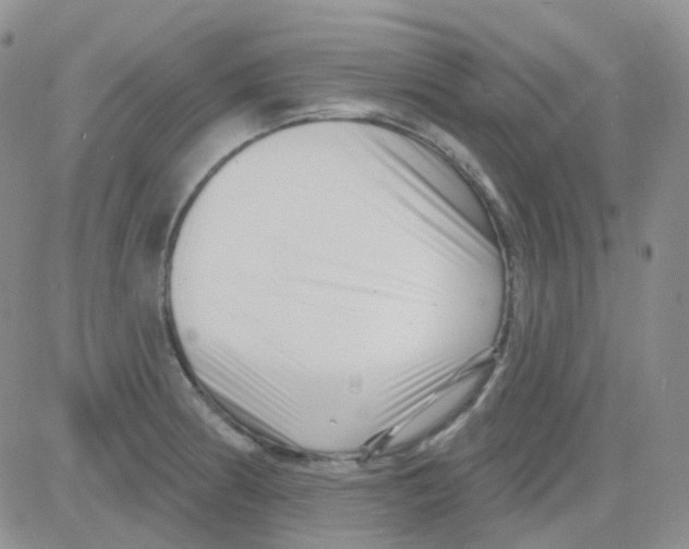 X0000082731186200702232339