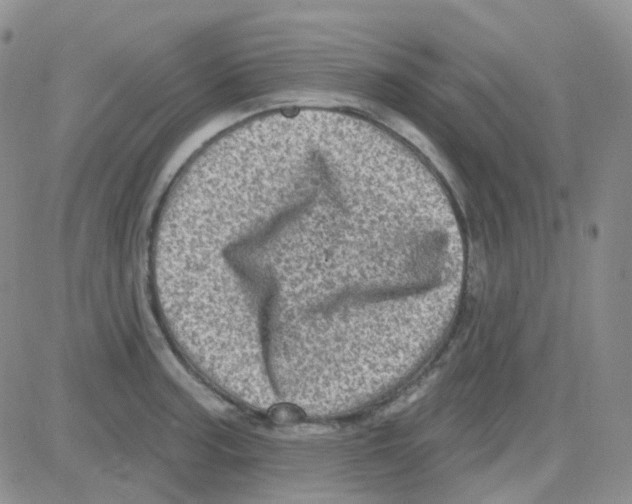 X0000082731187200702232339