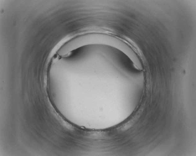 X0000082731188200702232339