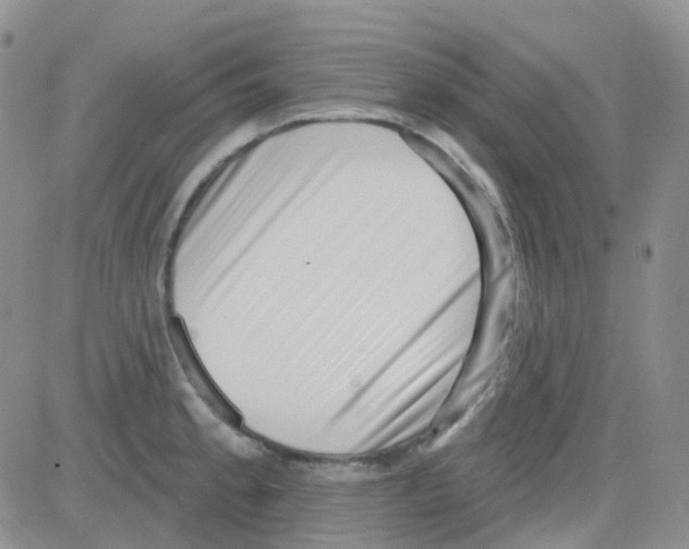 X0000082731189200702232339