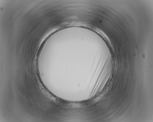 X0000082731190200702232339