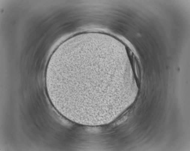 X0000082731191200702232339