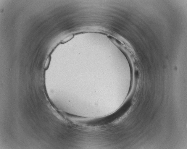 X0000082731192200702232339