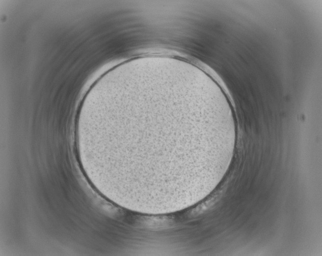 X0000082731195200702232339