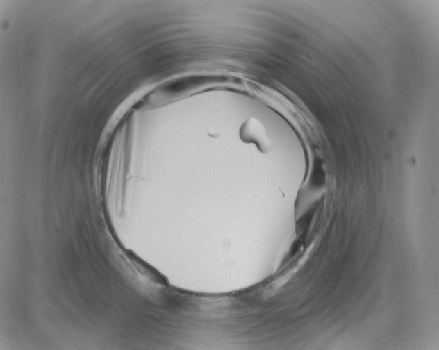 X0000082731196200702232339