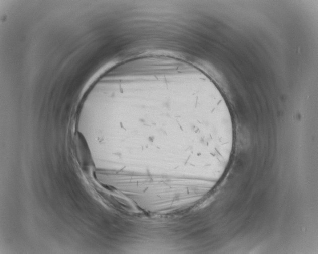 X0000082731198200702232339