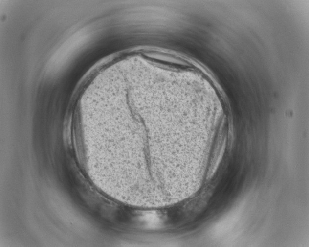 X0000082731199200702232339