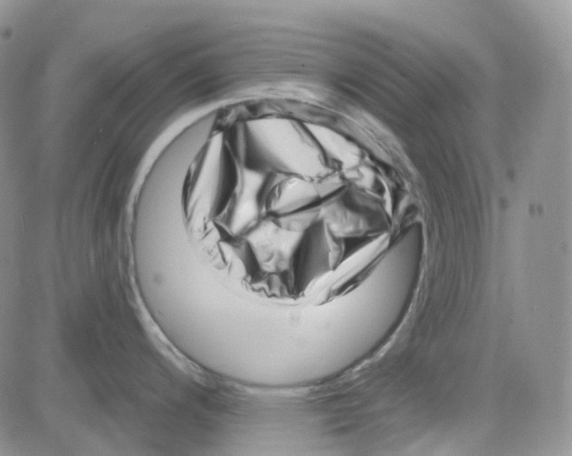 X0000082731200200702232339