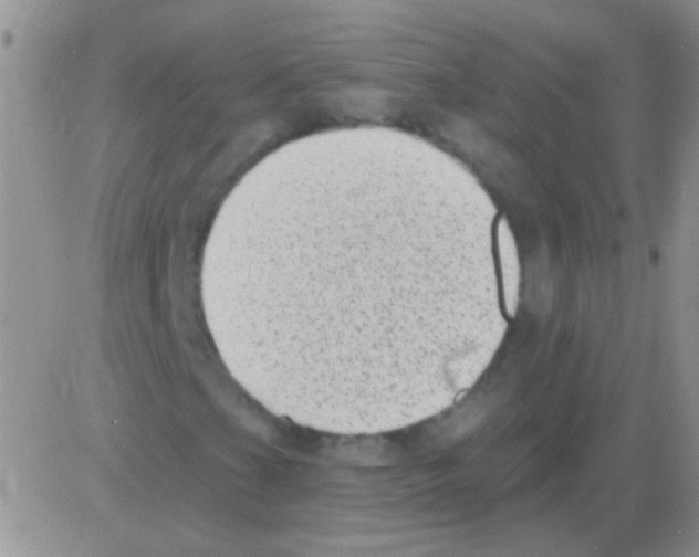 X0000082731201200702232338