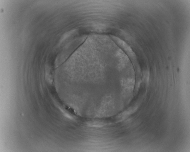 X0000082731202200702232338