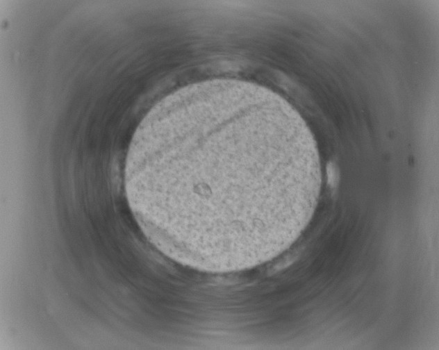 X0000082731203200702232338