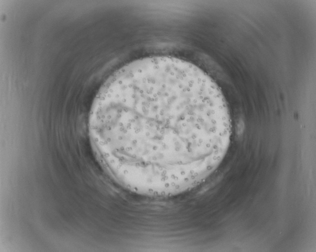 X0000082731204200702232338