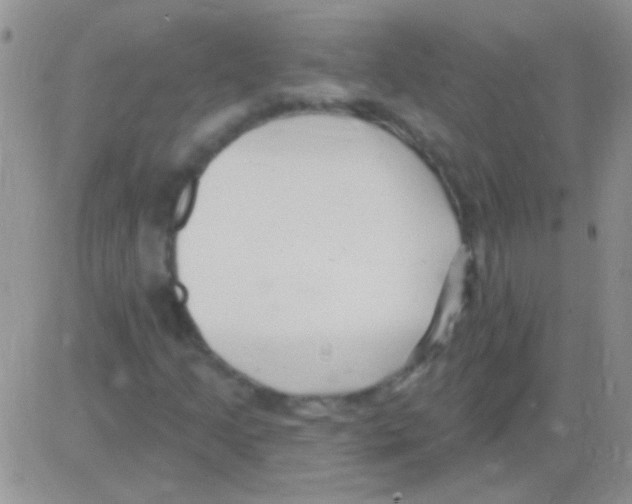 X0000082731205200702232338