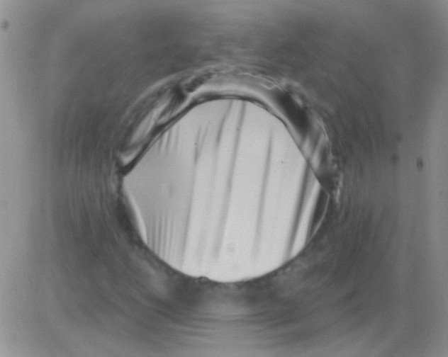 X0000082731206200702232338