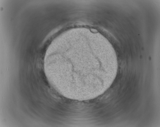 X0000082731207200702232338