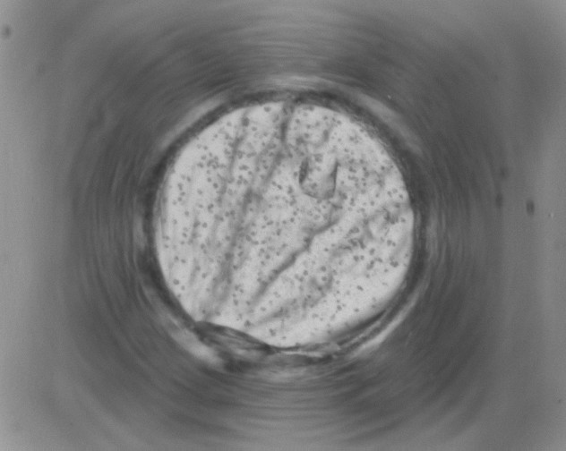 X0000082731209200702232338