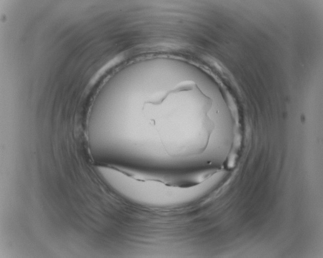 X0000082731210200702232338