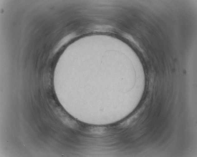 X0000082731211200702232338