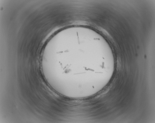 X0000082731212200702232338