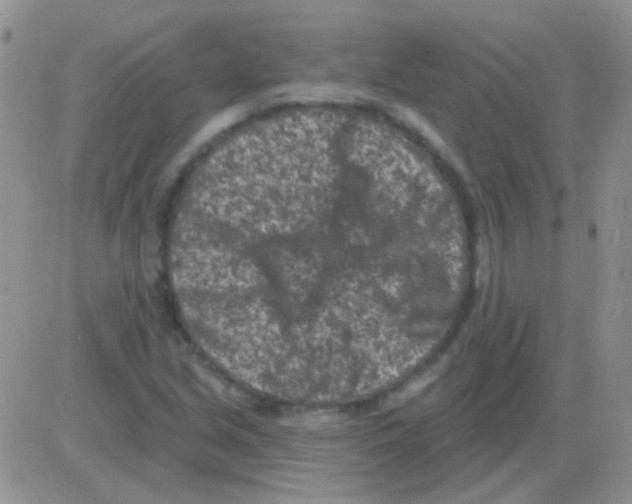 X0000082731213200702232338