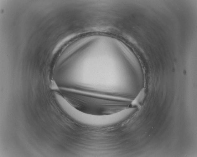 X0000082731214200702232338