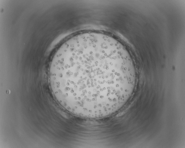 X0000082731215200702232338