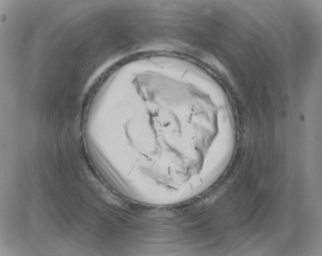 X0000082731216200702232338