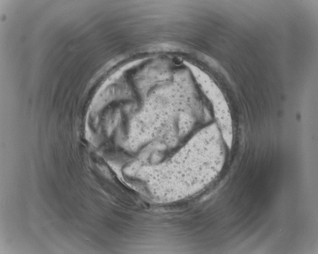 X0000082731217200702232338