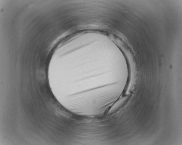 X0000082731218200702232338