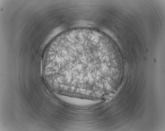 X0000082731219200702232338