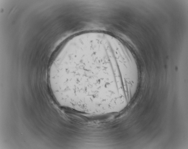 X0000082731220200702232338