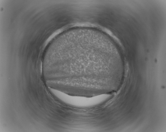 X0000082731221200702232338