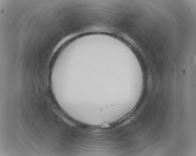 X0000082731222200702232338